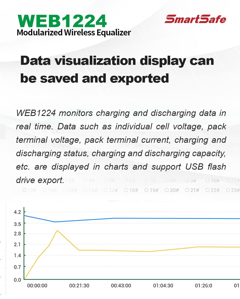 WEB1224 Wireless Voltage Monitor-06